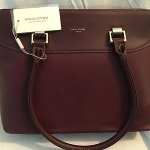 New Arrival Burgundy Color Bag By David Jones (Paris)